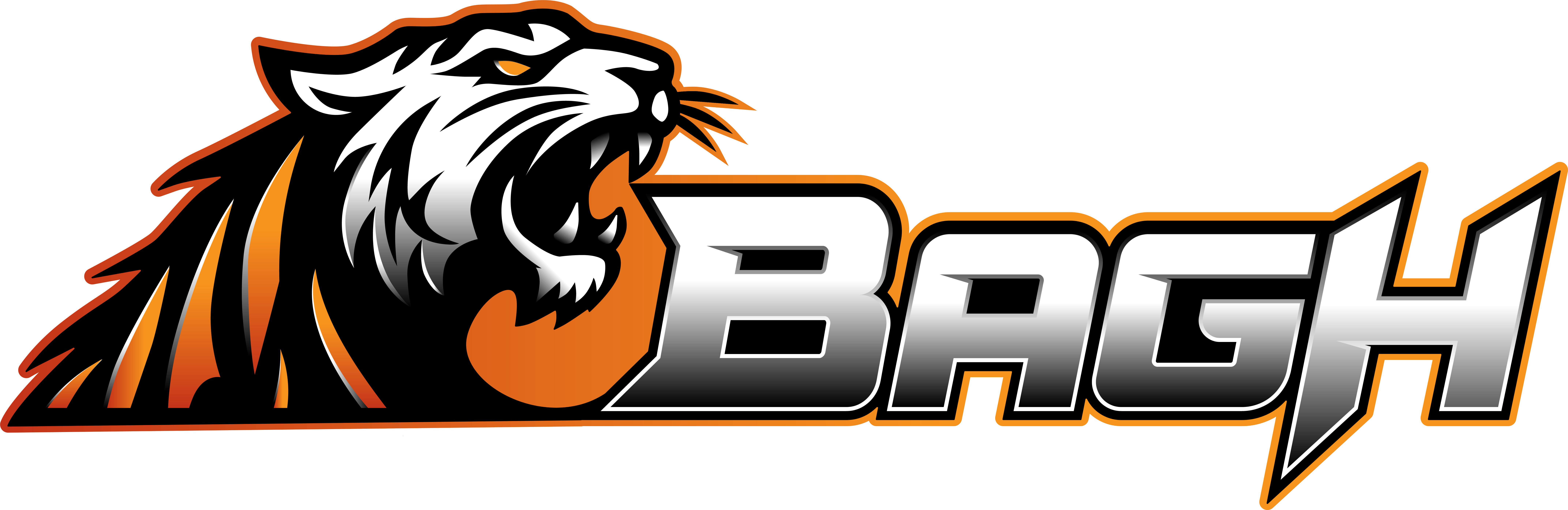 Bagh_logo